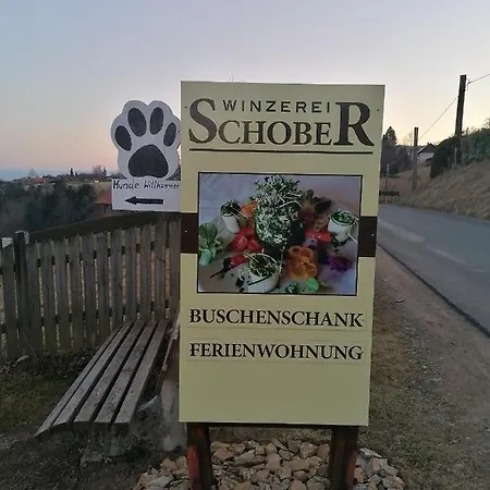 Winzerhaus Schober Holiday home